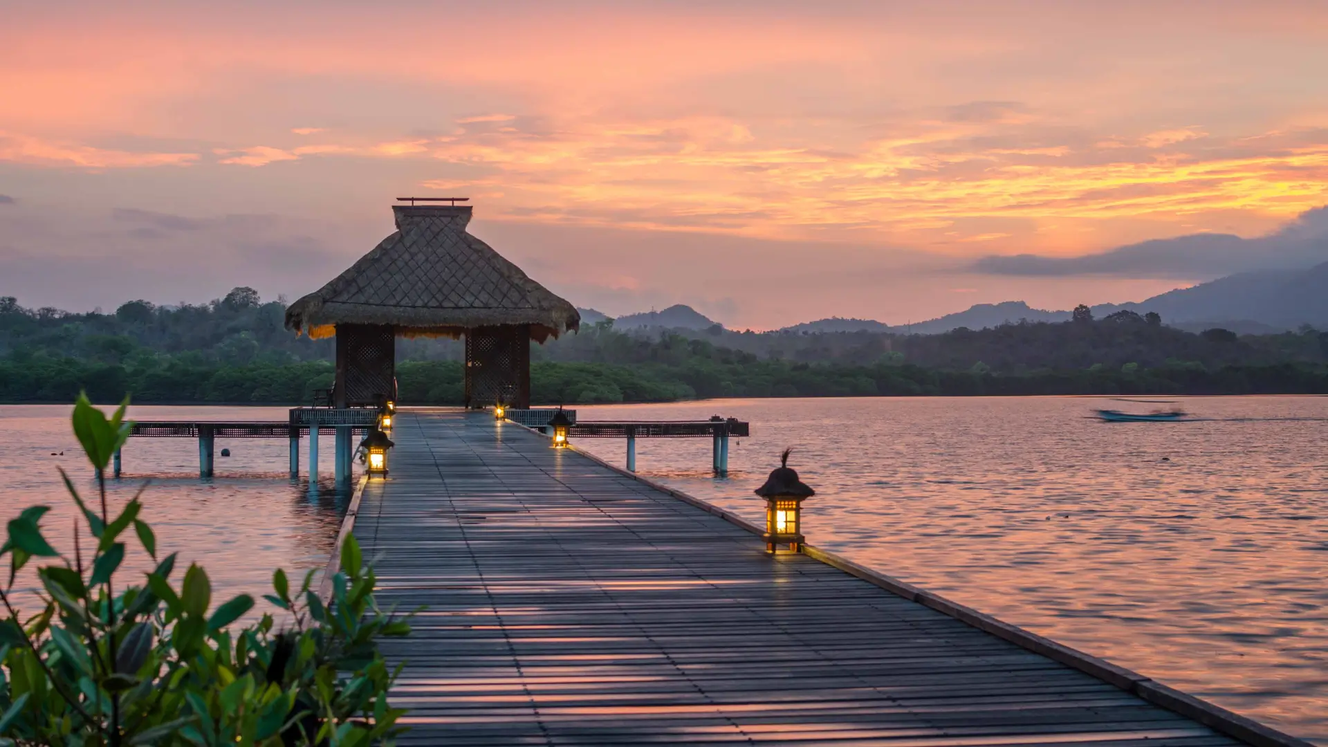 Comprehensive Travel and Recovery Support Services